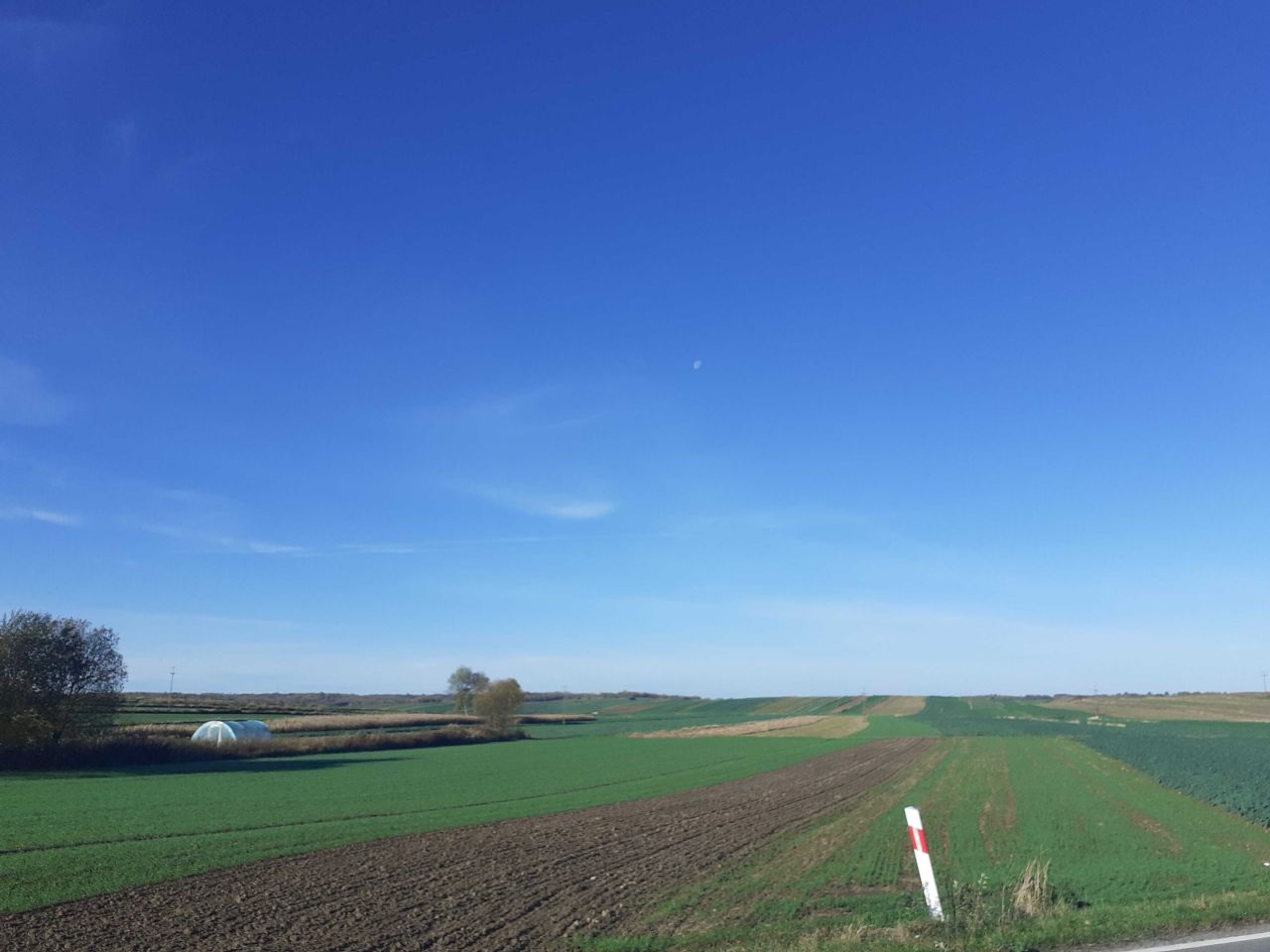 Działka budowlana Szczebrzeszyn, ul. Lubelska