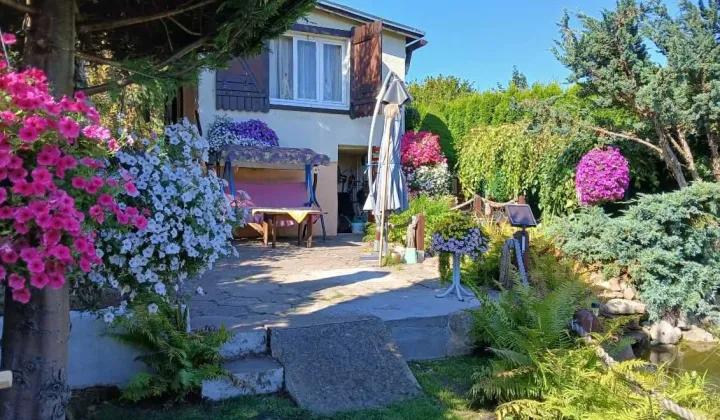 Działka rod Tuchola