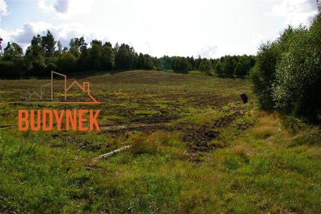 Działka rolna Lejkowo. Zdjęcie 12