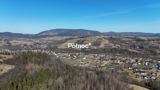 Działka rolna Kamienica. Zdjęcie 4
