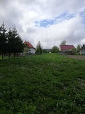 Działka rolna Sokolany. Zdjęcie 1