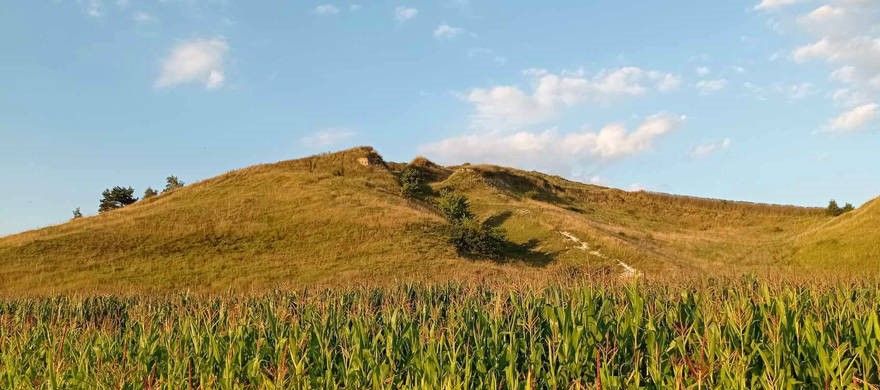 dom wolnostojący, 5 pokoi Byczów. Zdjęcie 3