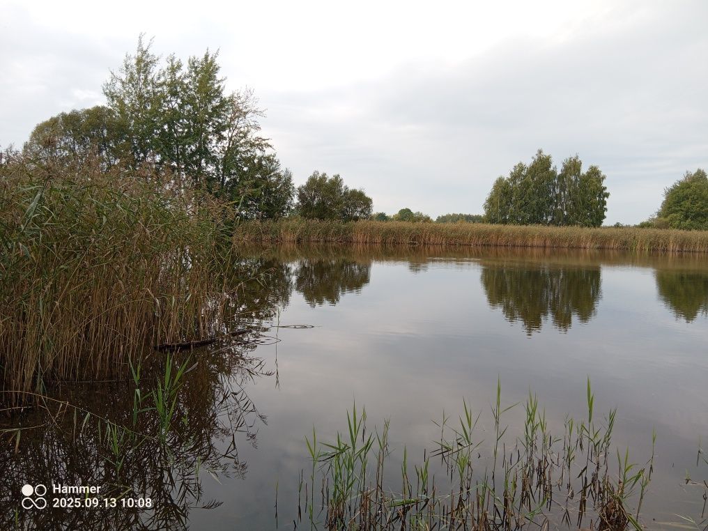 Działka rolna Krzywanice. Zdjęcie 4
