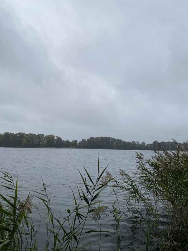 Działka rolno-budowlana Ługowo. Zdjęcie 3