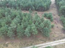 Działka budowlana Śladków Mały. Zdjęcie 2