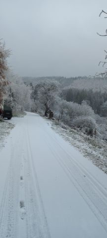 Działka rolno-budowlana Łężyce. Zdjęcie 1
