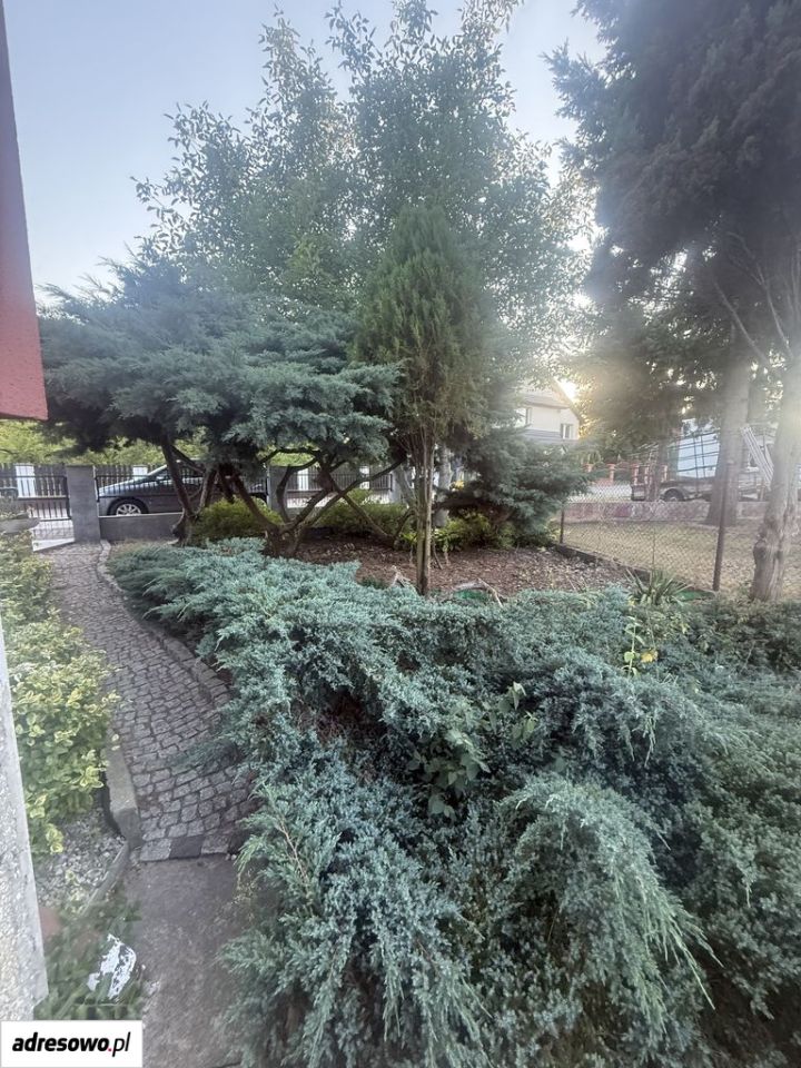 dom wolnostojący, 5 pokoi Ścinawa, ul. Topolowa. Zdjęcie 9