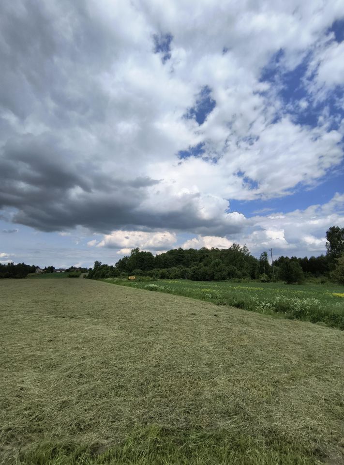 Działka inwestycyjna Zakrzew. Zdjęcie 6