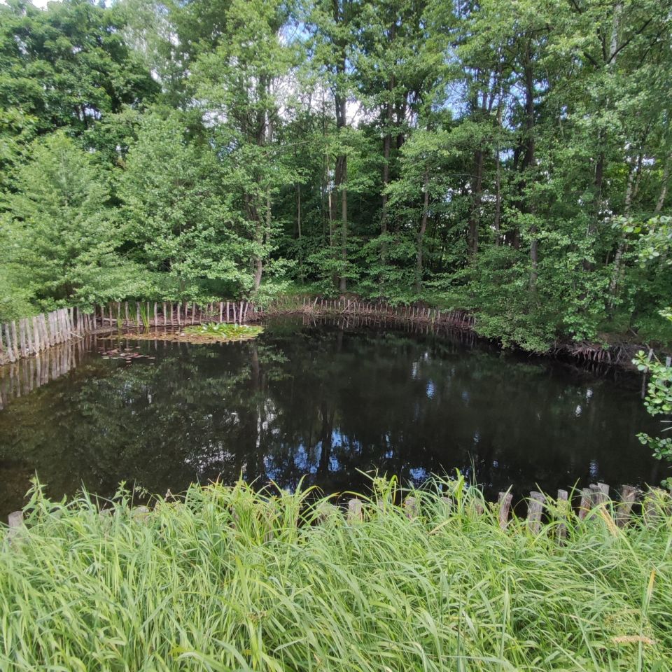 Hala/magazyn Szymanów. Zdjęcie 7