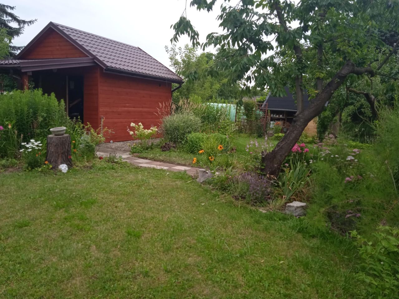 Działka rekreacyjna Tarnów Śródmieście, ul. Działkowa. Zdjęcie 12