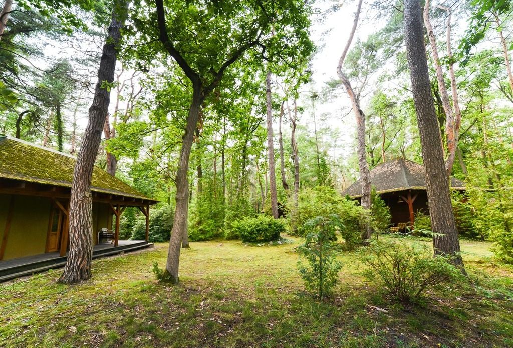 dom wolnostojący, 6 pokoi Poddębie, ul. Sosnowa. Zdjęcie 25