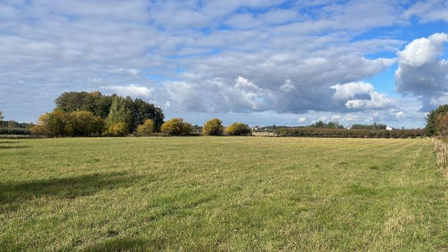 Działka rolno-budowlana Boglewice. Zdjęcie 1