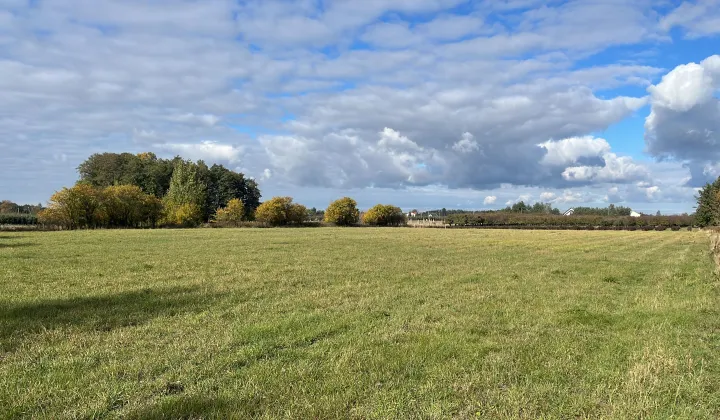 Działka rolno-budowlana Boglewice