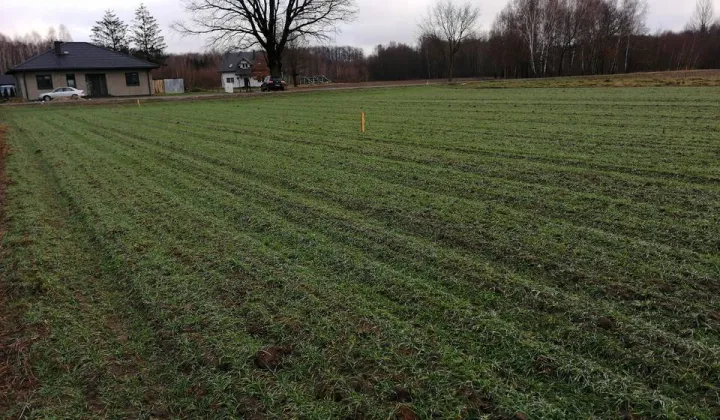 Działka budowlana Ogrodniki