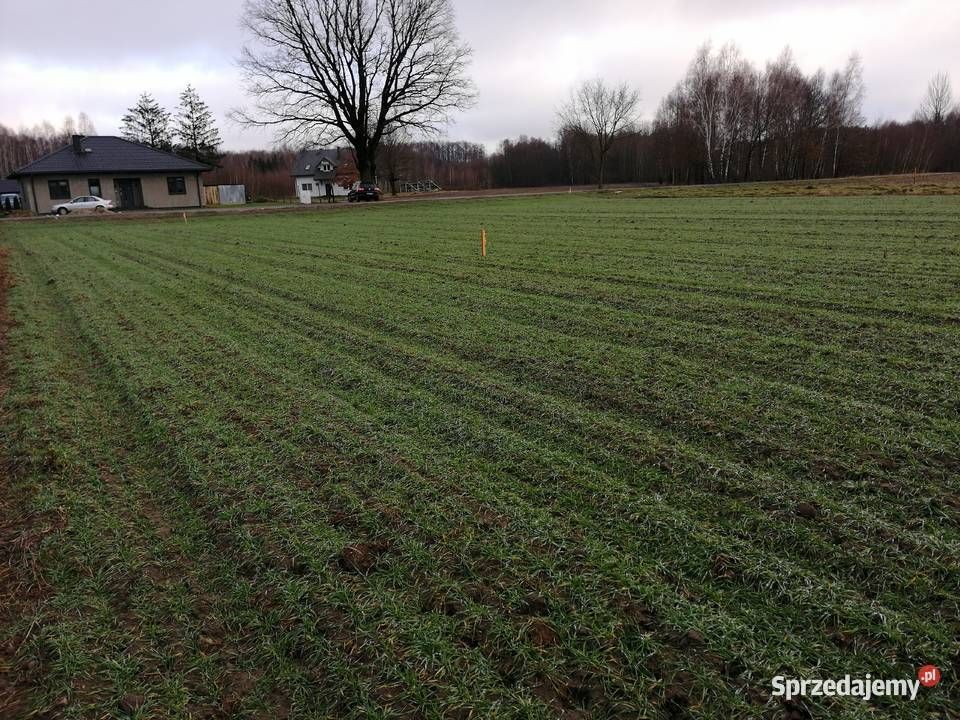 Działka budowlana Ogrodniki