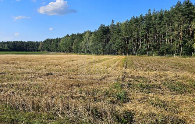 Działka budowlana Petrykozy, ul. Główna. Zdjęcie 1