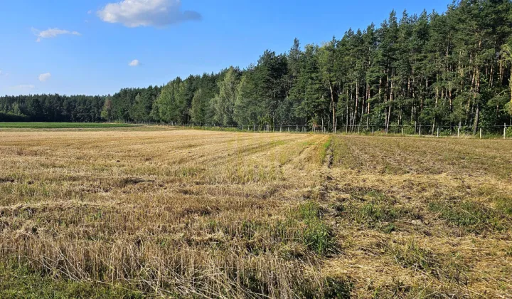 Działka budowlana Petrykozy, ul. Główna