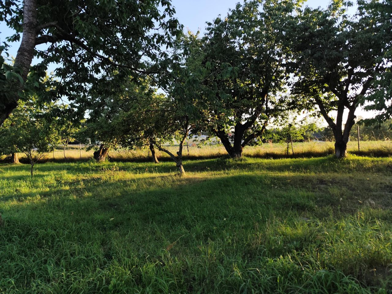 Działka rolna Suchań, ul. Młyńska. Zdjęcie 6