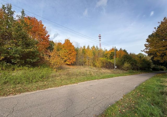 Działka budowlana Dąbrowica. Zdjęcie 1