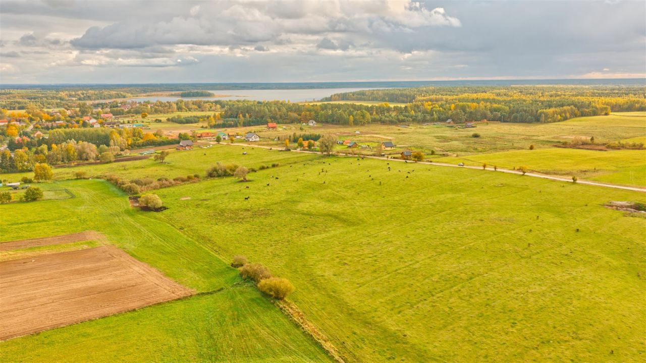 Działka rolna Zdory. Zdjęcie 13