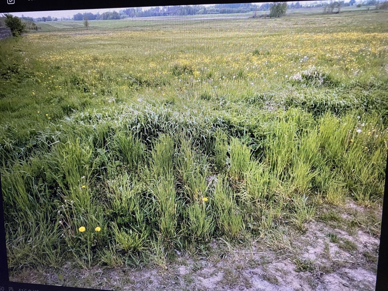 Działka rolno-budowlana Radom Stara Wola Gołębiowska, ul. Stara Wola Gołębiowska