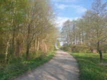 Działka budowlana Biała Róża. Zdjęcie 2