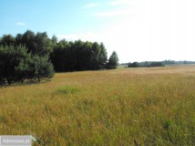 Działka rolno-budowlana Osowo Leśne. Zdjęcie 1