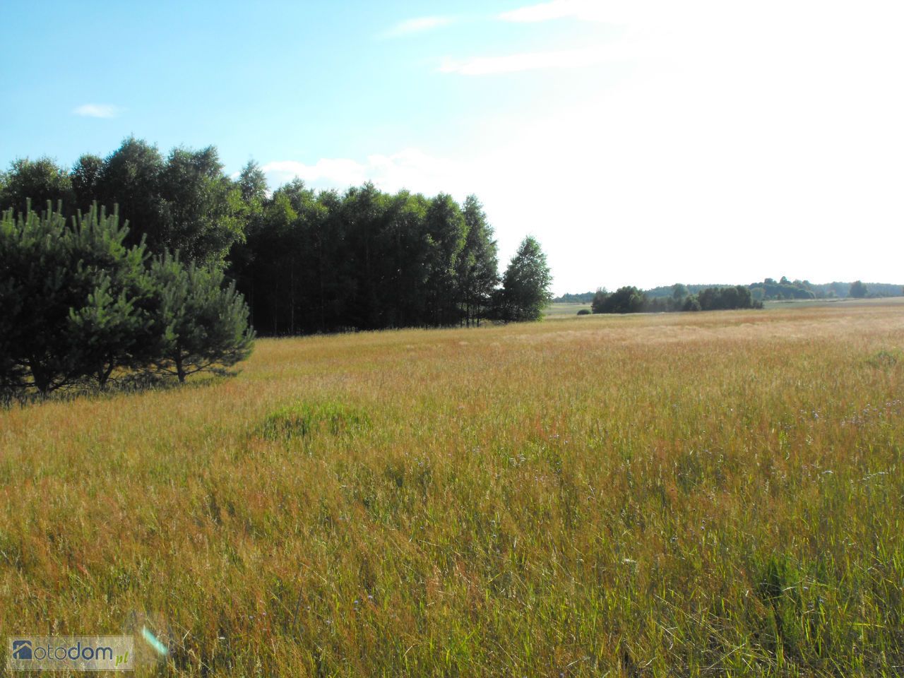 Działka rolno-budowlana Osowo Leśne. Zdjęcie 2
