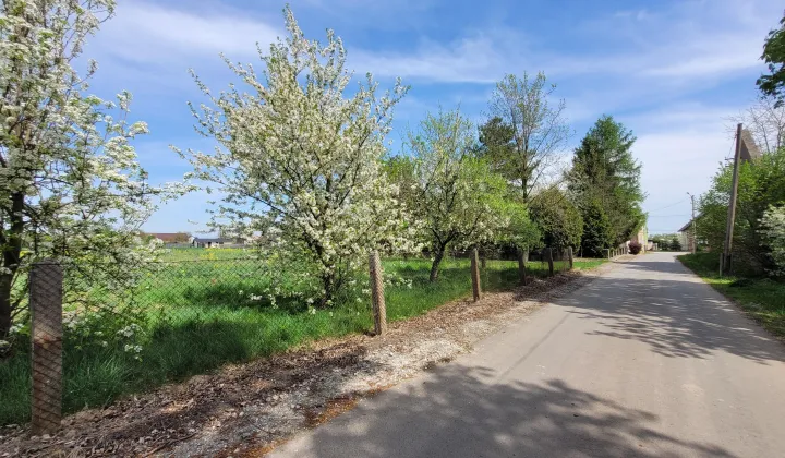 Działka rolno-budowlana Michałów