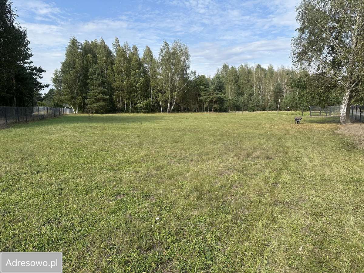 dom wolnostojący, 4 pokoje Biejków. Zdjęcie 5