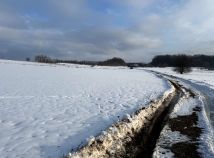 Działka rolno-budowlana Przewrotne. Zdjęcie 2