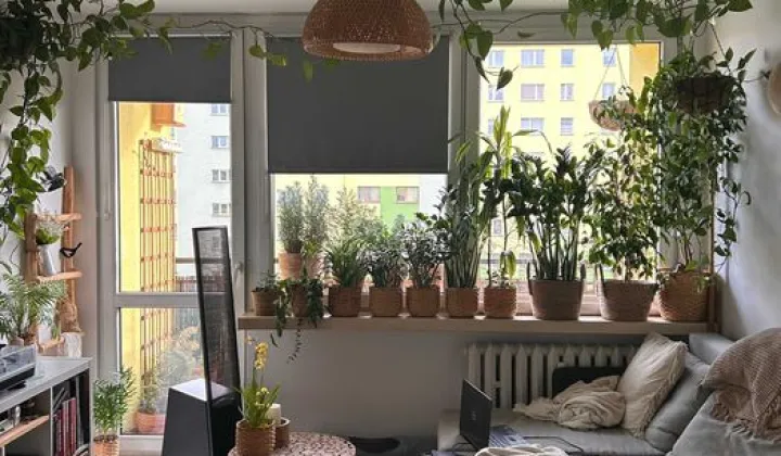 Mieszkanie 2-pokojowe Dąbrowa Górnicza Mydlice, ul. Legionów Polskich