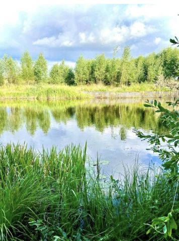Działka rolno-budowlana Tuchlino. Zdjęcie 2