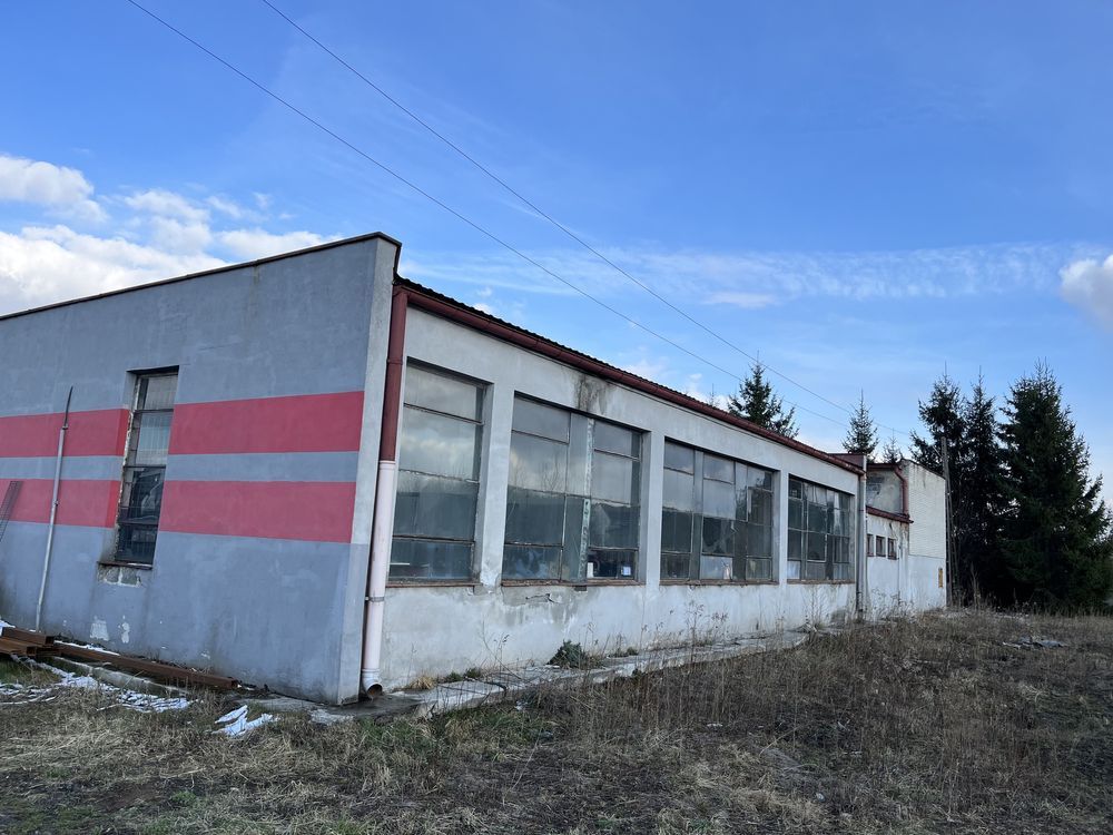 Hala/magazyn Kępie Zaleszańskie