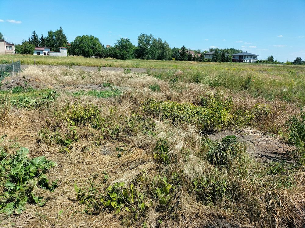 Działka budowlana Michałowice-Wieś, ul. Kasztanowa. Zdjęcie 3