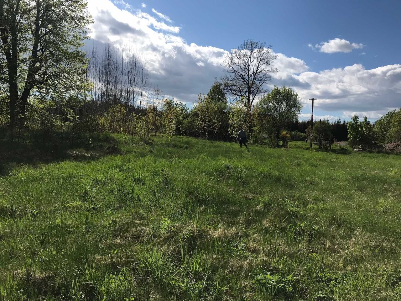 Działka rolno-budowlana Wronki. Zdjęcie 3