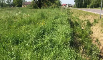 Działka na sprzedaż bez pośredników 
 
 Jedle - Widok 5