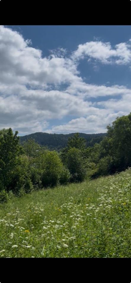 Działka rolna Muszyna, ul. Polna. Zdjęcie 3