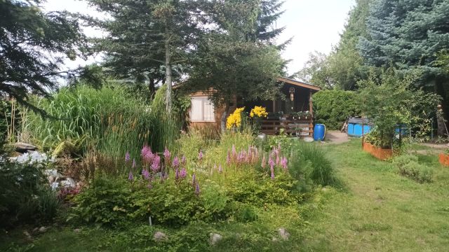 Działka rod Poznań Głuszyna, ul. Przy Lotnisku. Zdjęcie 1