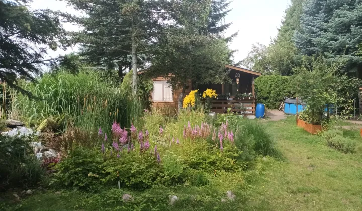 Działka rod Poznań Głuszyna, ul. Przy Lotnisku