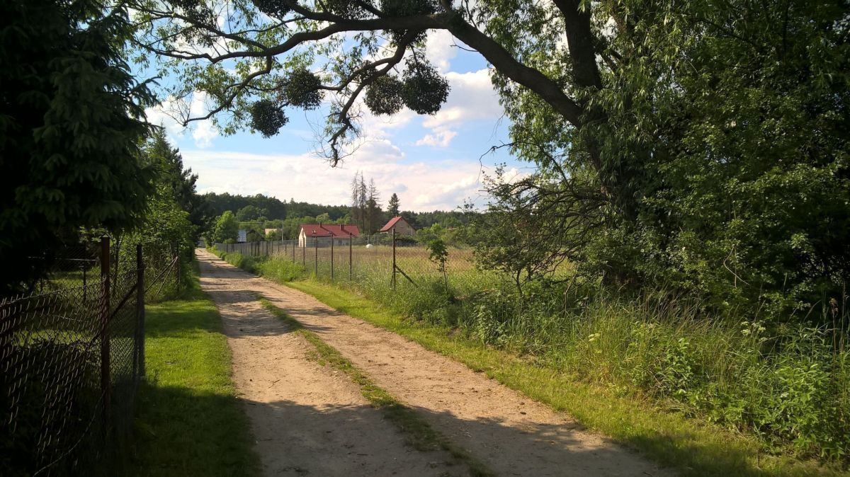 Działka budowlana Jary. Zdjęcie 4