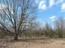 Działka rolno-budowlana Kępiaste. Zdjęcie 3