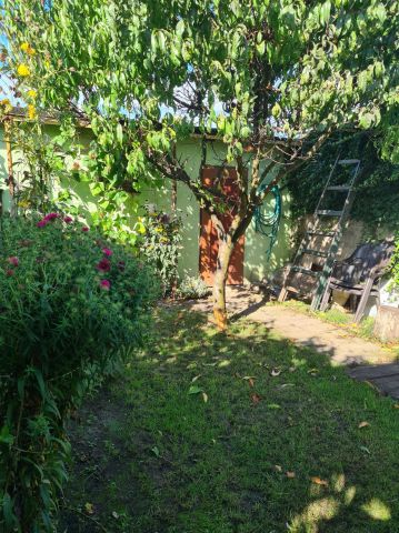 Działka rekreacyjna Leszno, ul. Dożynkowa. Zdjęcie 1