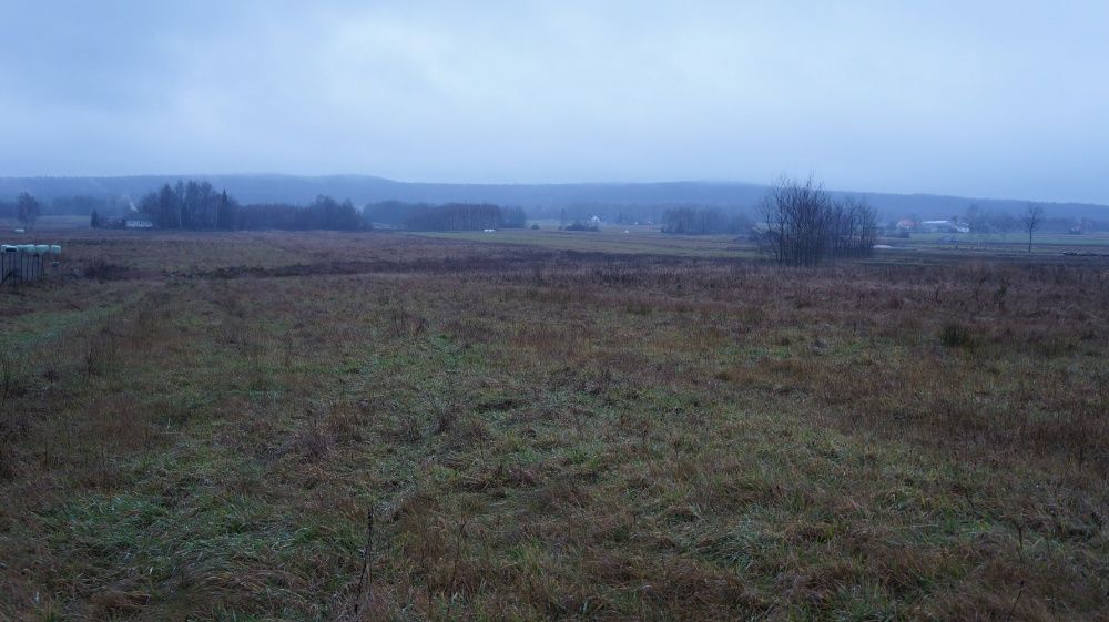 Działka inwestycyjna Lechów. Zdjęcie 7