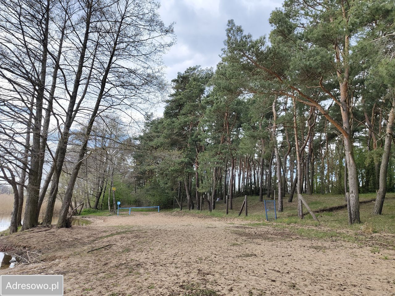 Działka rekreacyjna Głuszynek. Zdjęcie 7