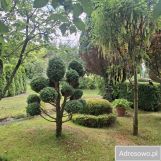 Działka rod Nowy Sącz, ul. Zabełecka. Zdjęcie 1