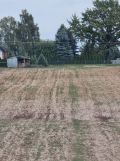 Działka rolno-budowlana Bonów. Zdjęcie 2