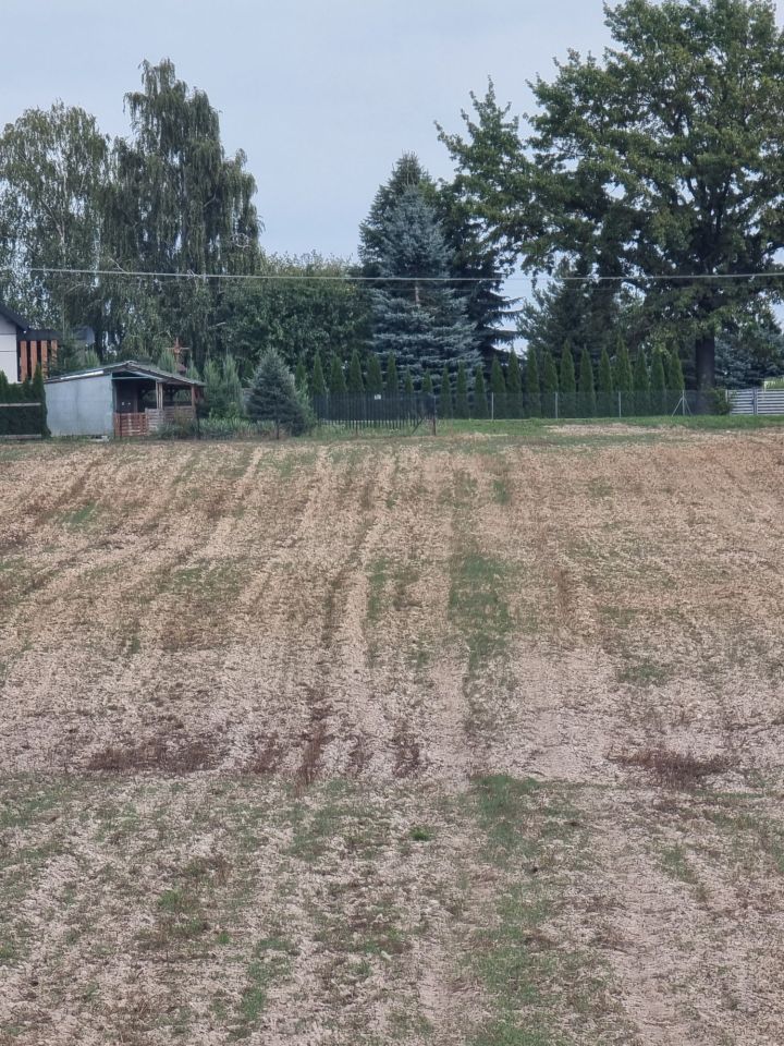 Działka rolno-budowlana Bonów. Zdjęcie 3