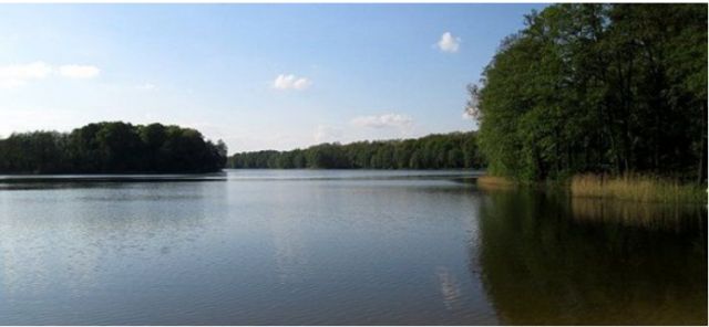 Działka budowlana Jankowo Dolne. Zdjęcie 1