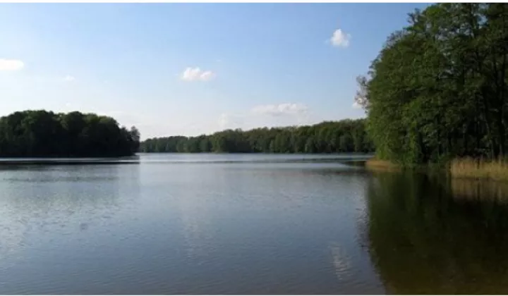 Działka budowlana Jankowo Dolne